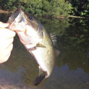 Meet your Posher, Ethan